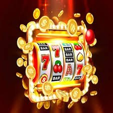 nn55 bet