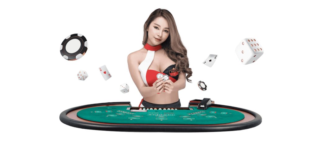 nn55 bet